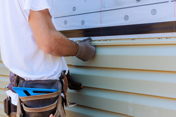 Affordable Vinyl Siding solutions in Island Lake, IL